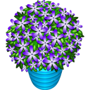 Fialové květiny