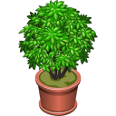 Jednoduchá rostlina